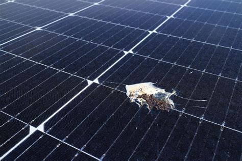 Dont Be Fooled: 7 Solar Panel Scams to Know and。